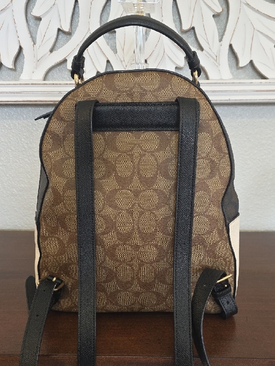 Coach Brown Signature Canvas Mini Backpack with Black Trim (P19) main image 5